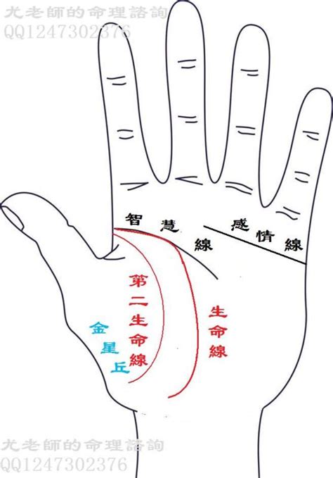 生命線有兩條|【算命不求人】快速看懂手相